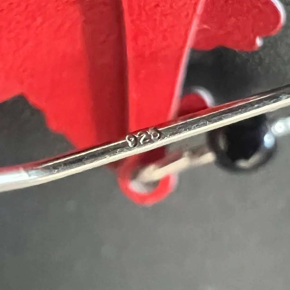 Santa Claus Christmas Earrings – Festive Holiday Jewelry with 925 Silver Hooks